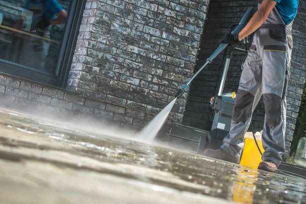 Best Boat and Dock Cleaning  in Colfax, IL